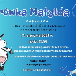 Krówka Matylda 11.01.2025